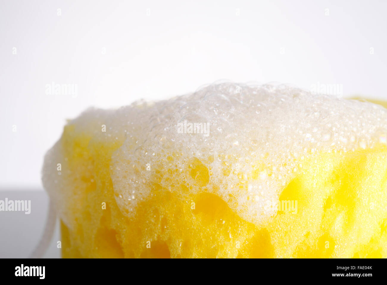Sponge covered in soap suds Stock Photo Alamy