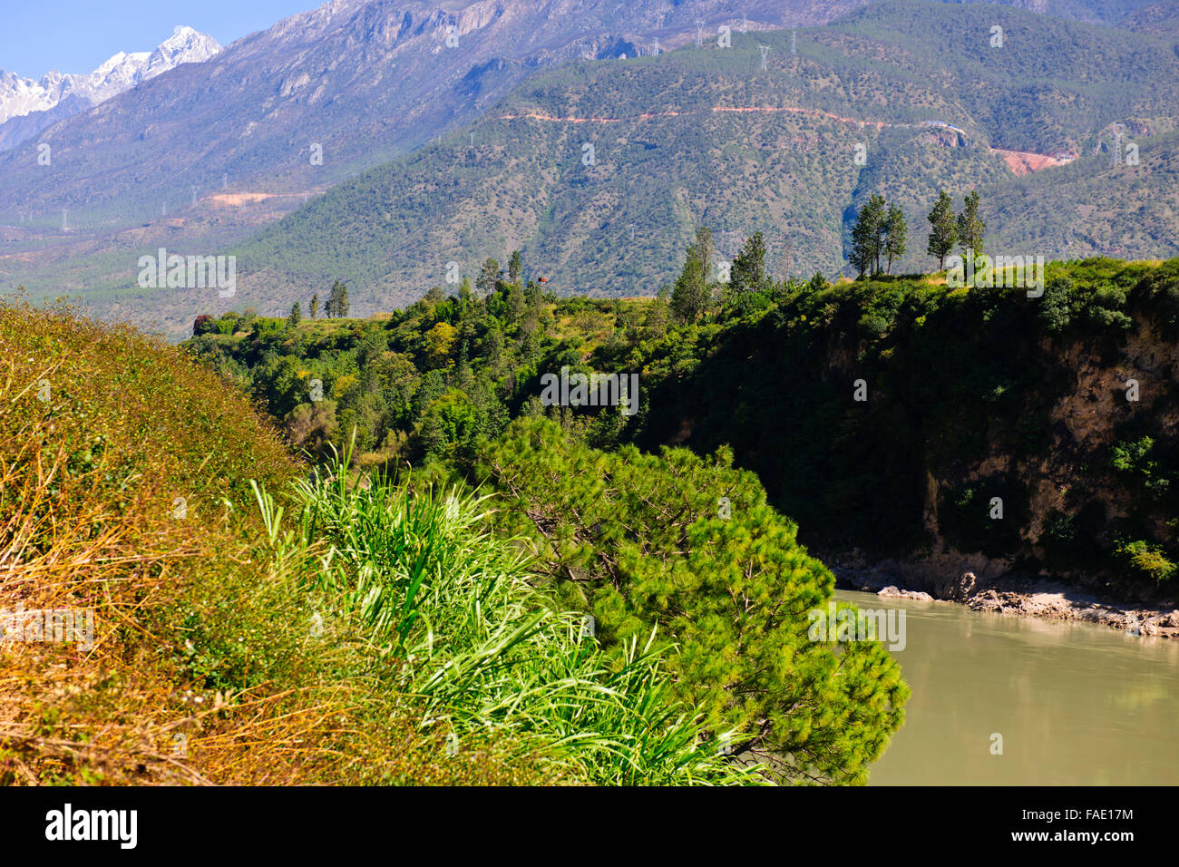 Chang jiang rice hi-res stock photography and images - Alamy
