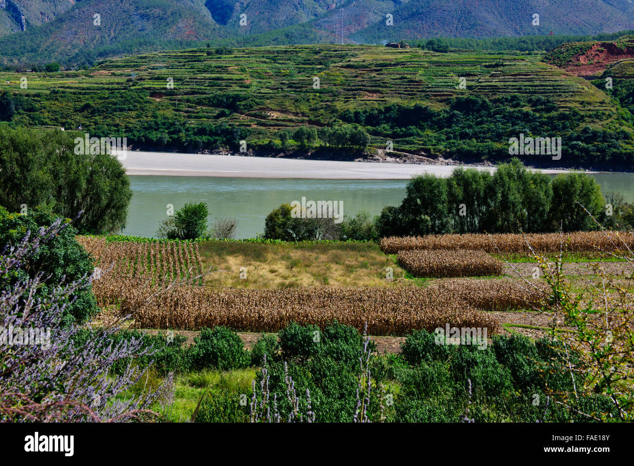 Jinsha Jiang River,Yangtze River,Road between Lijiang & Tacheng,Jade