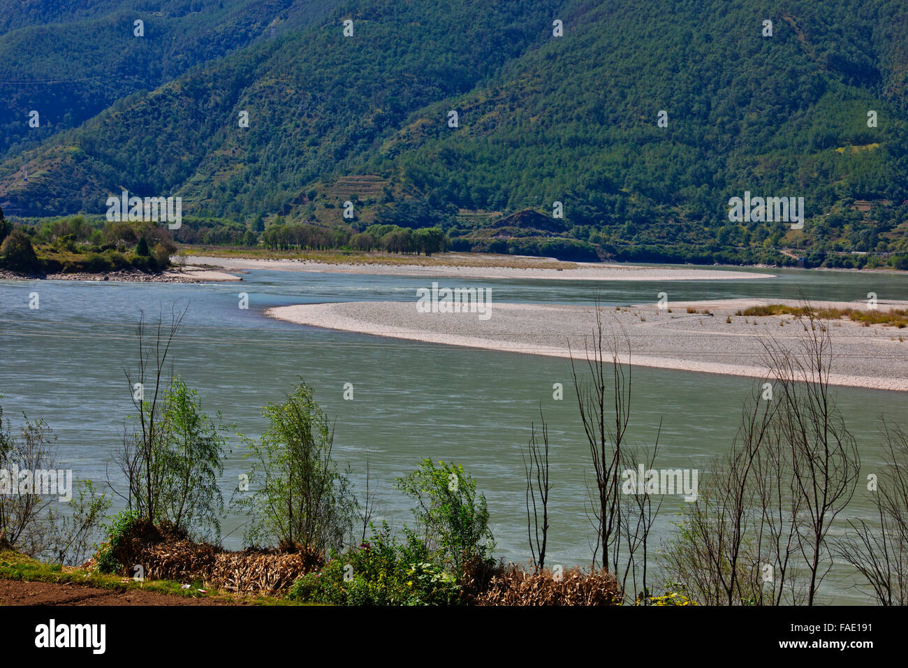 Chang jiang rice hi-res stock photography and images - Alamy