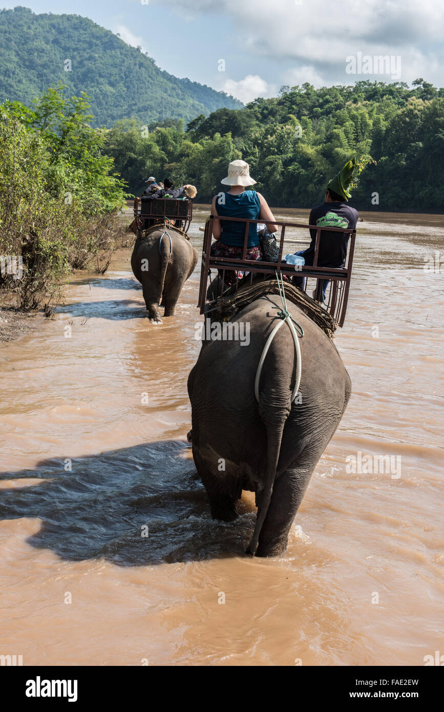 Tourists travelling on top of elephants on Nam Khan river in Luang Prabang province of Laos. Travelling on elephants is widely c Stock Photo