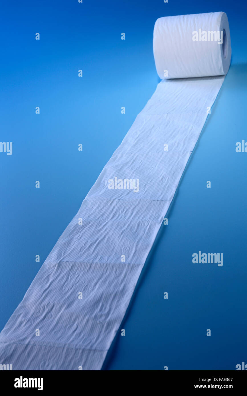 Roll of toilet paper Stock Photo Alamy