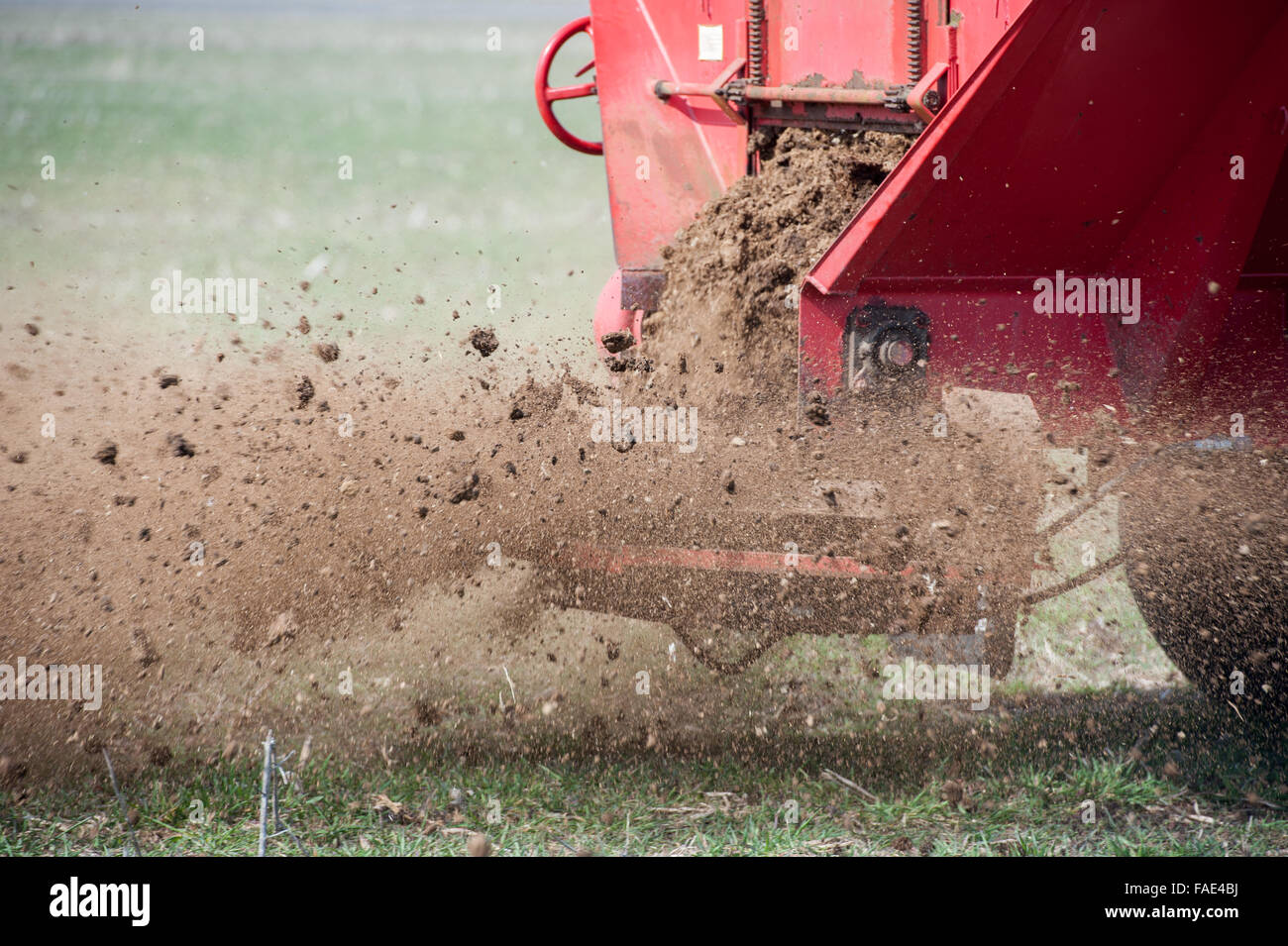 Chicken manure being spread on a farm in Eden, Maryland. Stock Photo