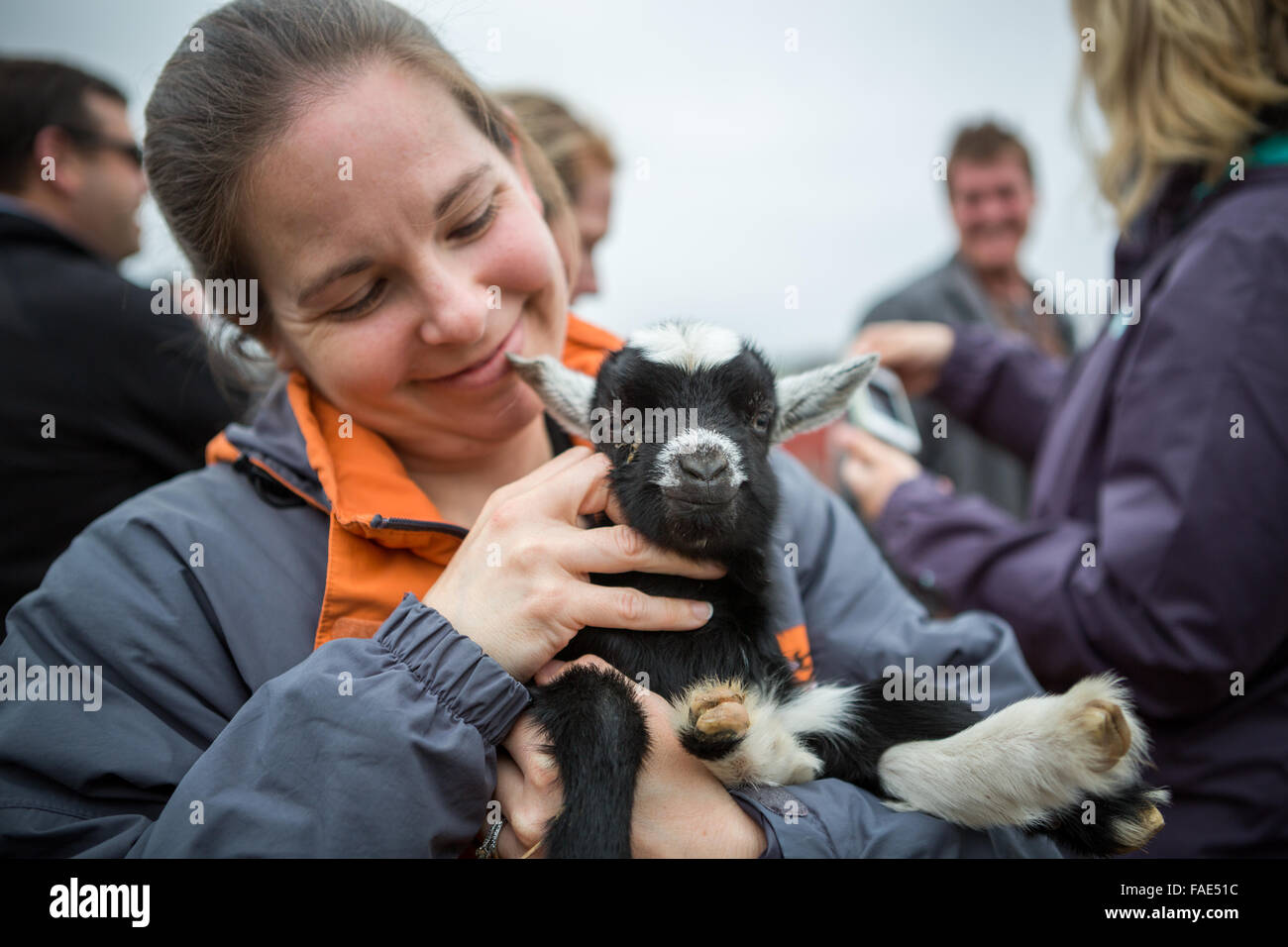 Girl holding a baby goat Stock Photo