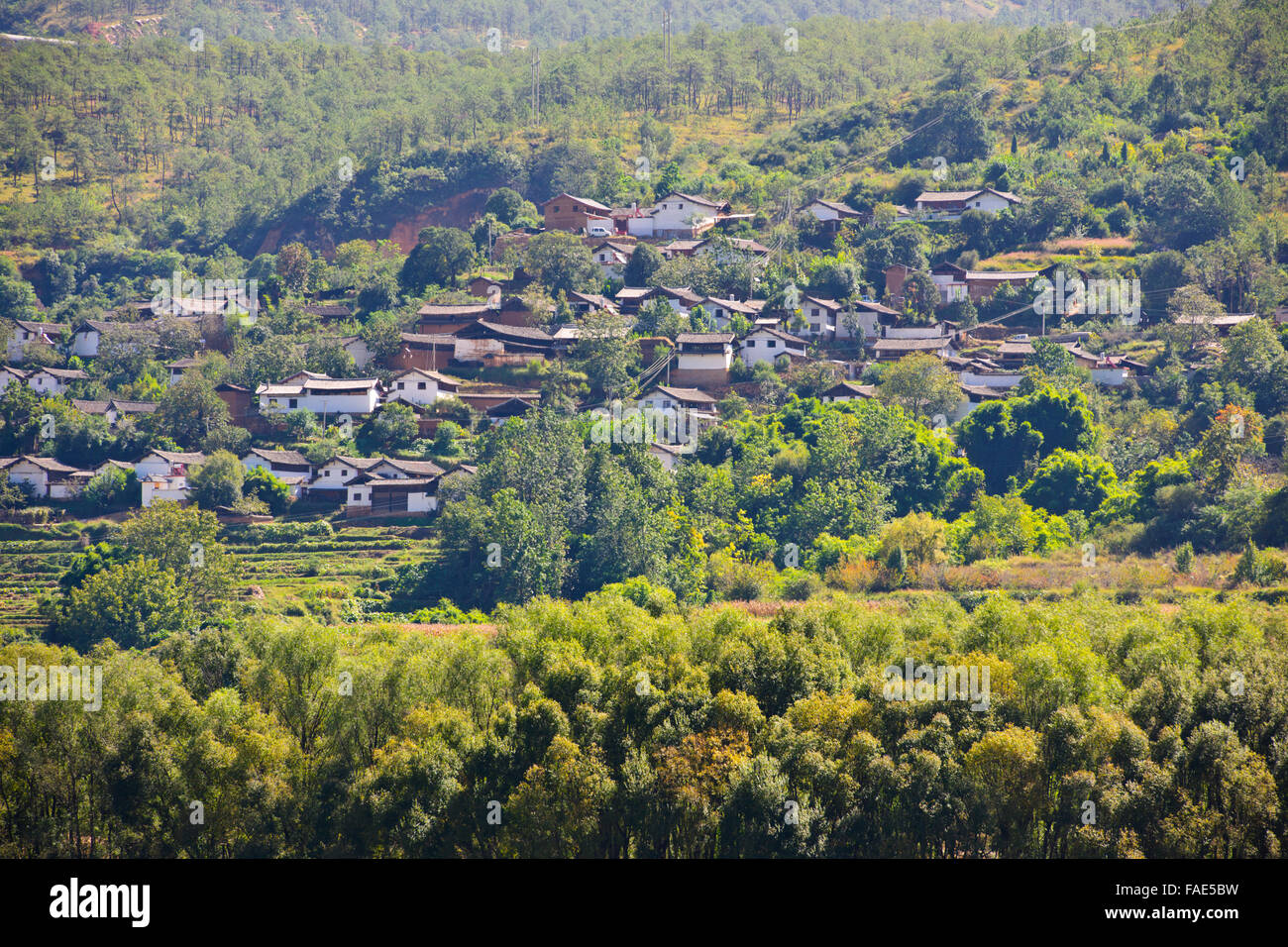 Chang jiang rice hi-res stock photography and images - Alamy