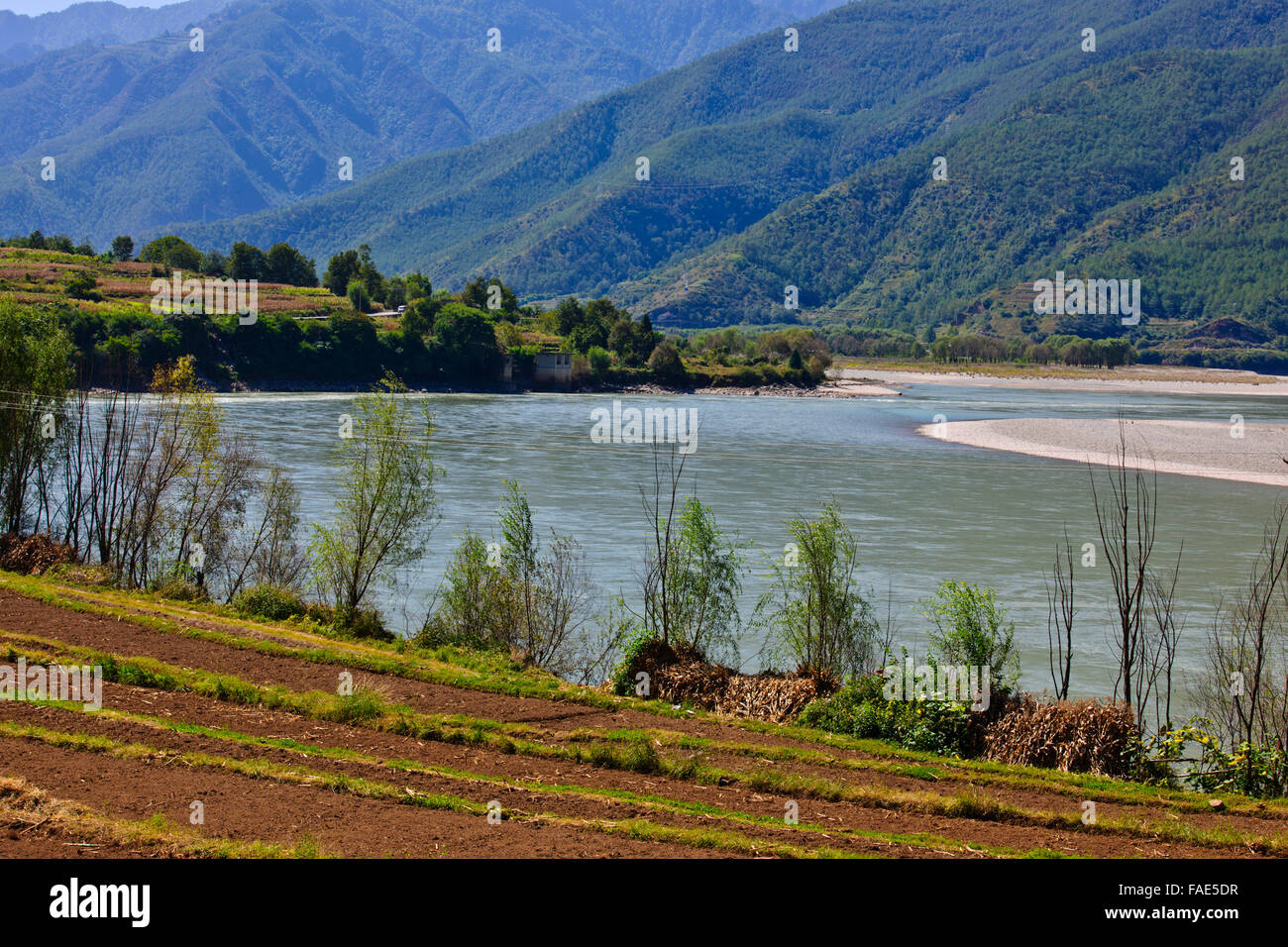 Chang jiang rice hi-res stock photography and images - Alamy