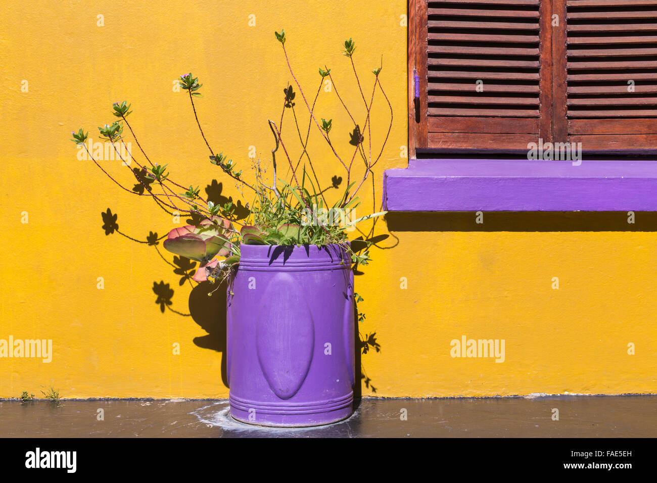 Bo Kaap district domestic detail, Cape Town, South Africa Stock Photo