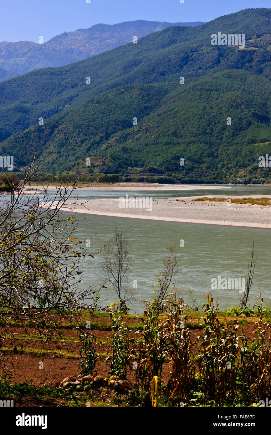 Chang jiang rice hi-res stock photography and images - Alamy