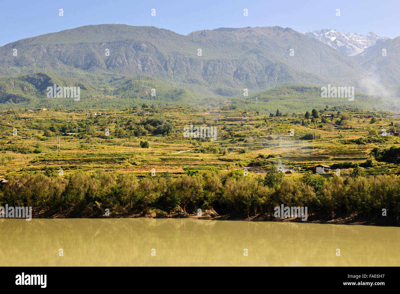 Chang jiang rice hi-res stock photography and images - Alamy
