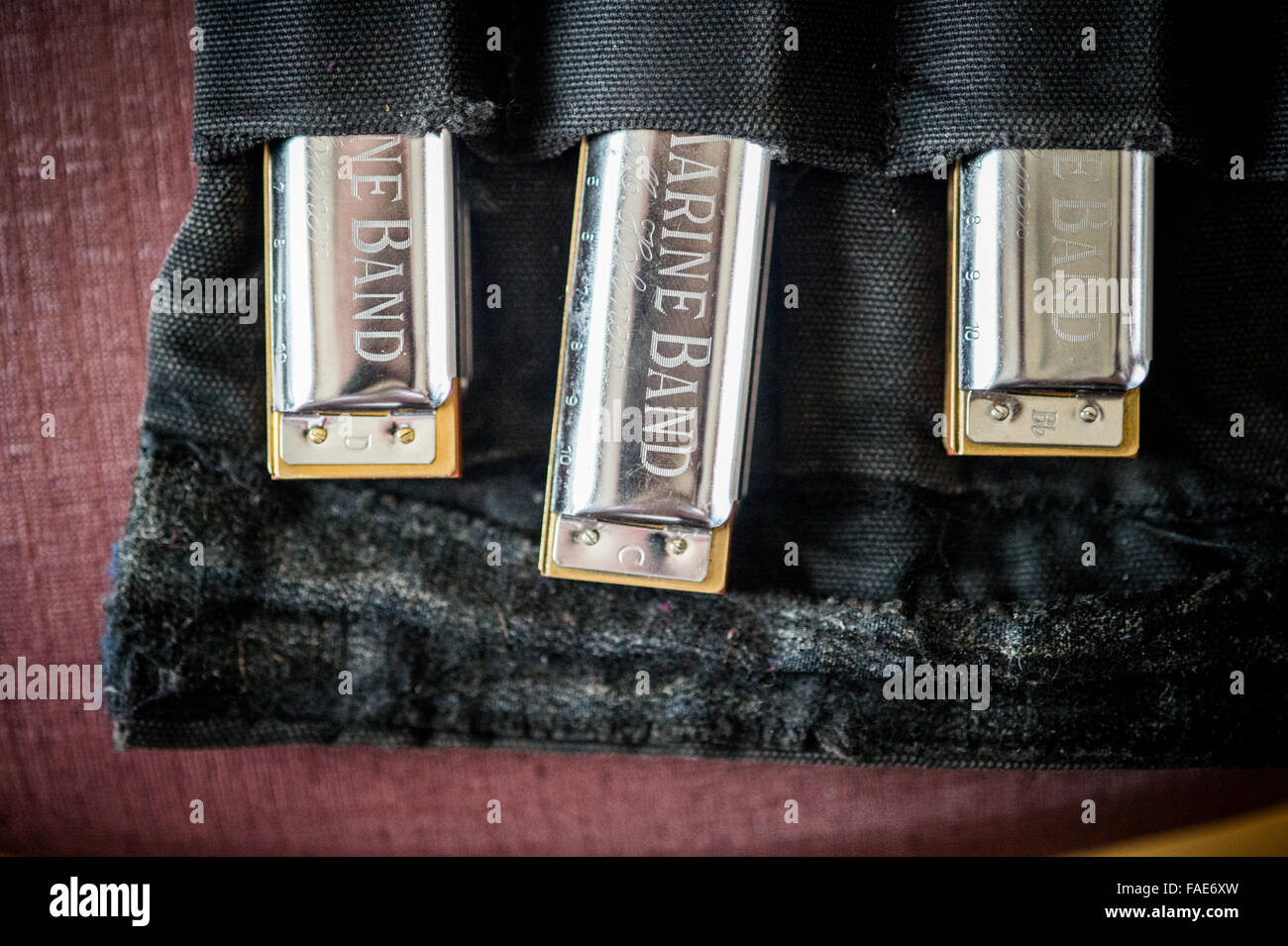 Blues harmonicas up close. Stock Photo