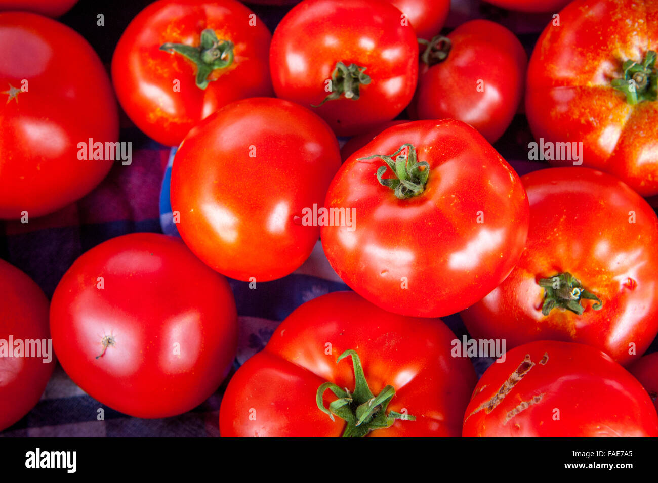 Tomatoes for sale at farmers market Stock Photo - Alamy