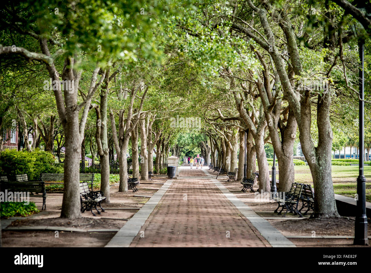 Walkway in Charleston South Carolina Stock Photo