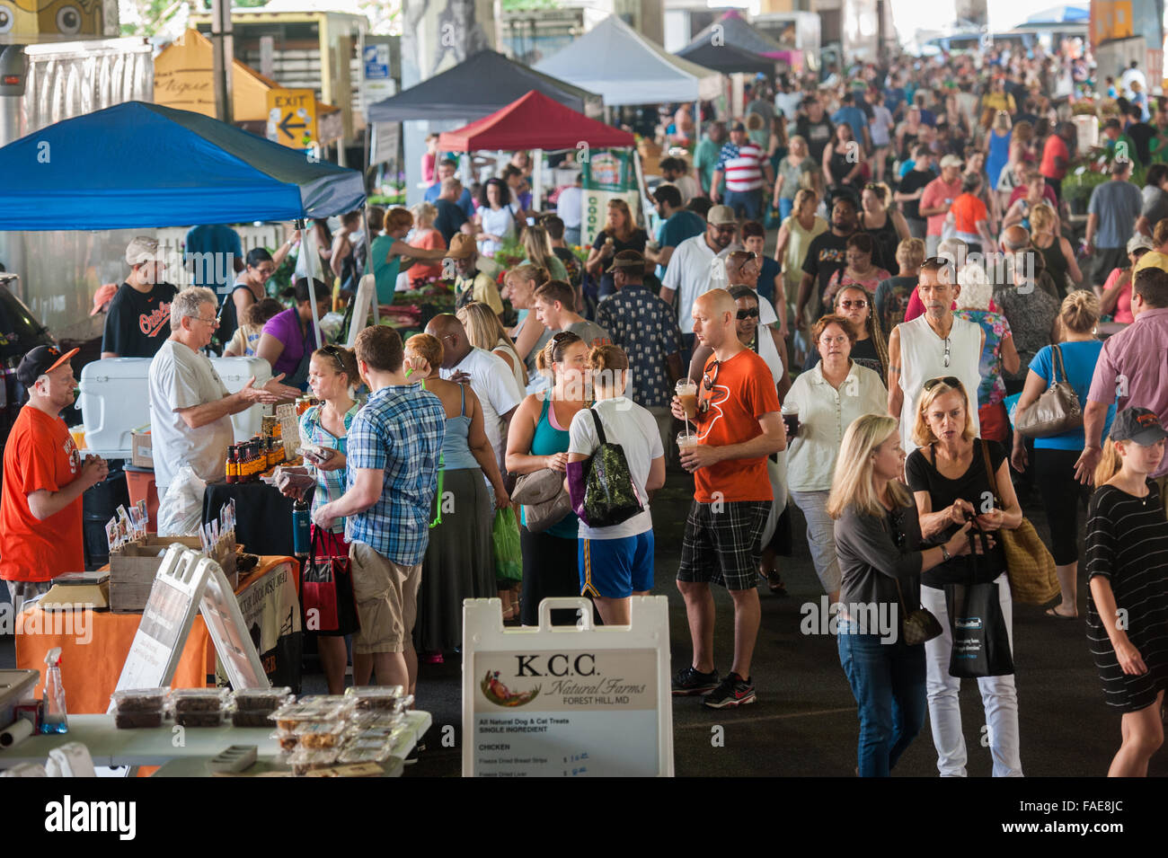 People walking around at a local farmers market in Baltimore. Stock Photo