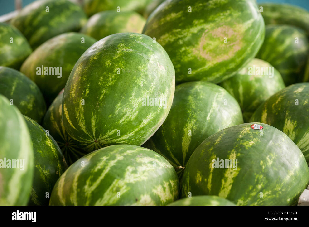 Watermelons for sale Stock Photo Alamy