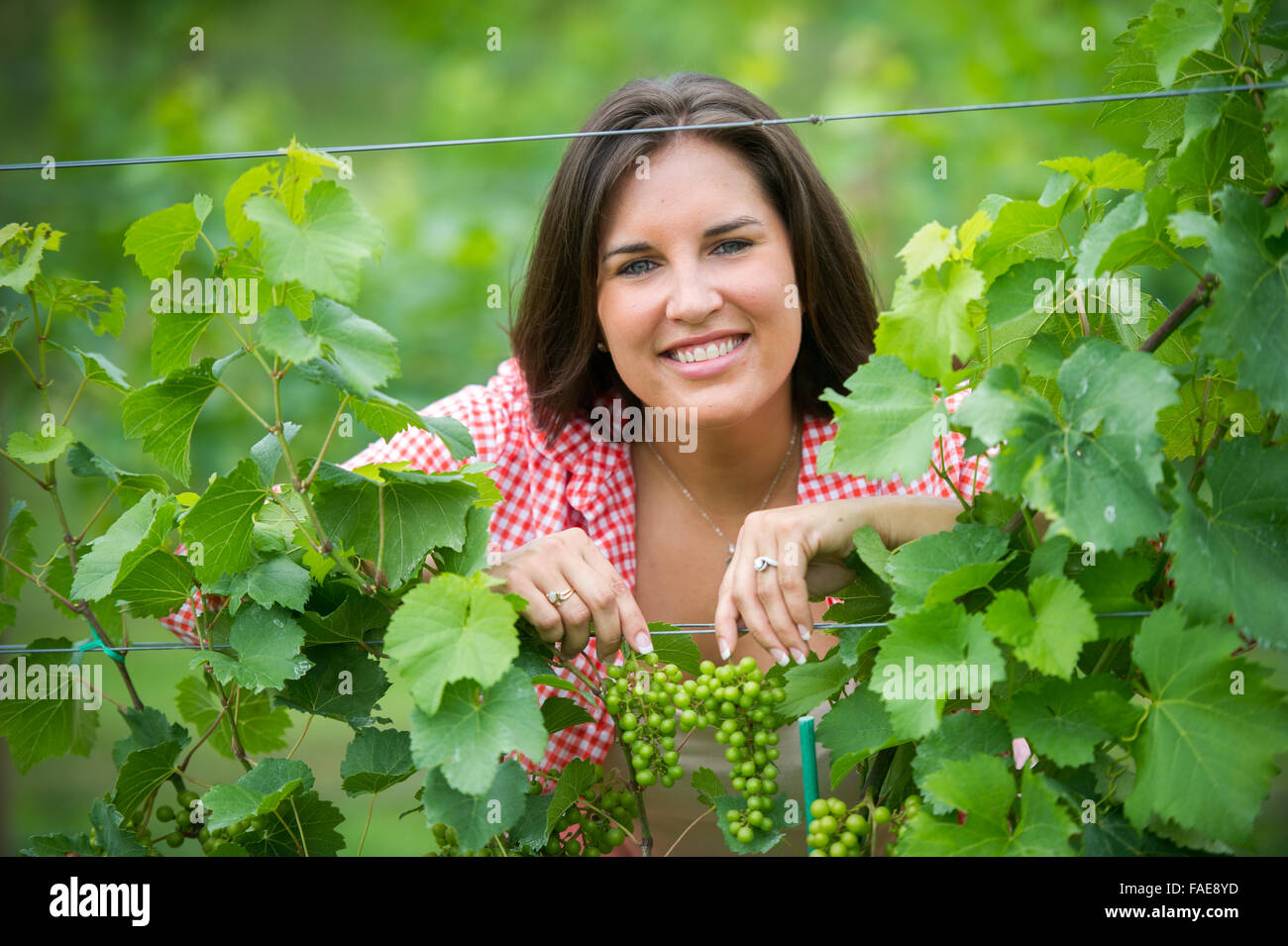 Woman standing in Vineyard patch Stock Photo