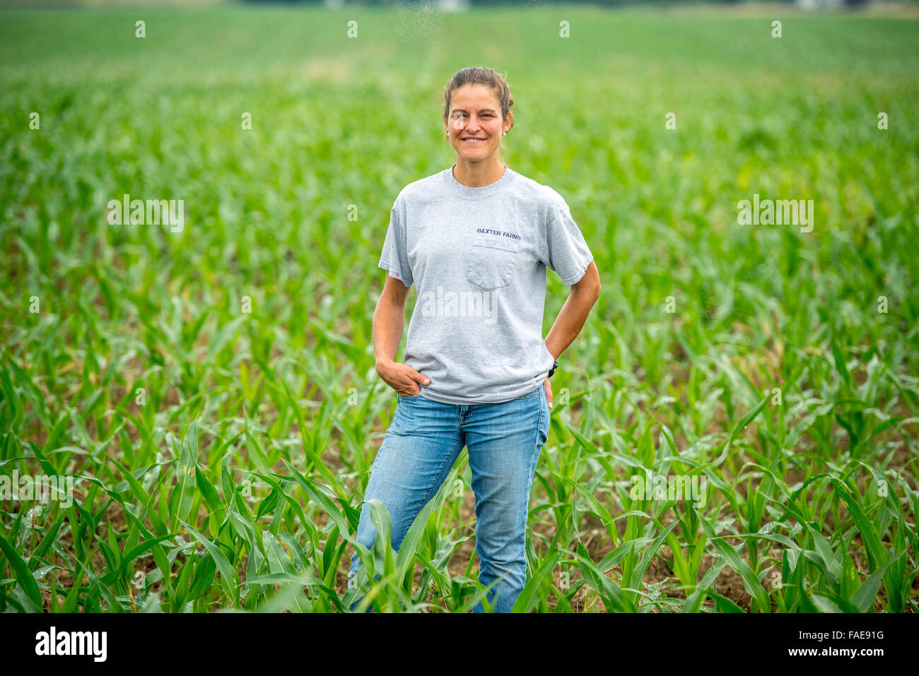 Woman posing in a corn field Stock Photo