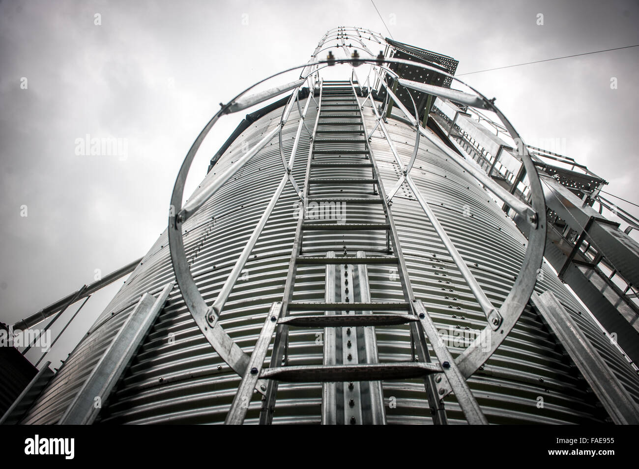 Looking up through a ladder entrance on a silo Stock Photo