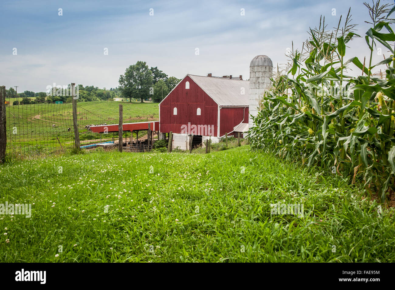 Red Barn with silo Stock Photo