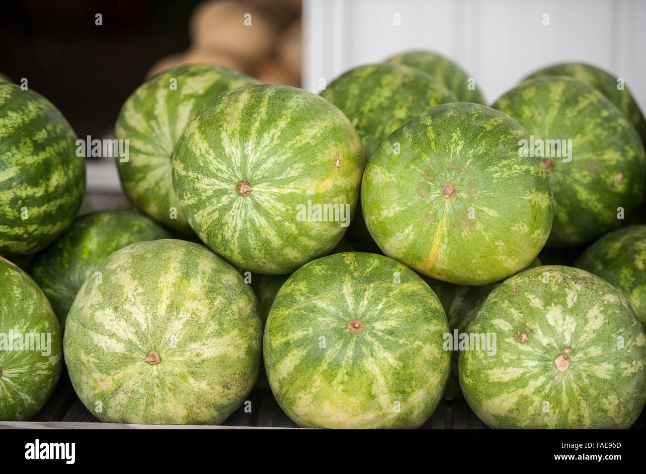 Watermelons for sale at a local market Stock Photo Alamy