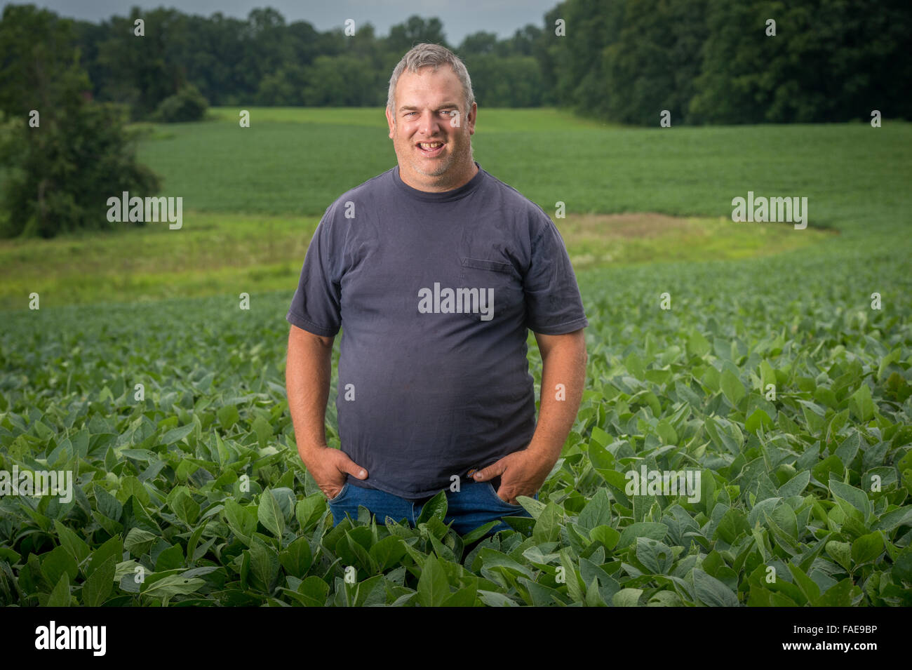 Farmer standing in the middle of a large crop field Stock Photo