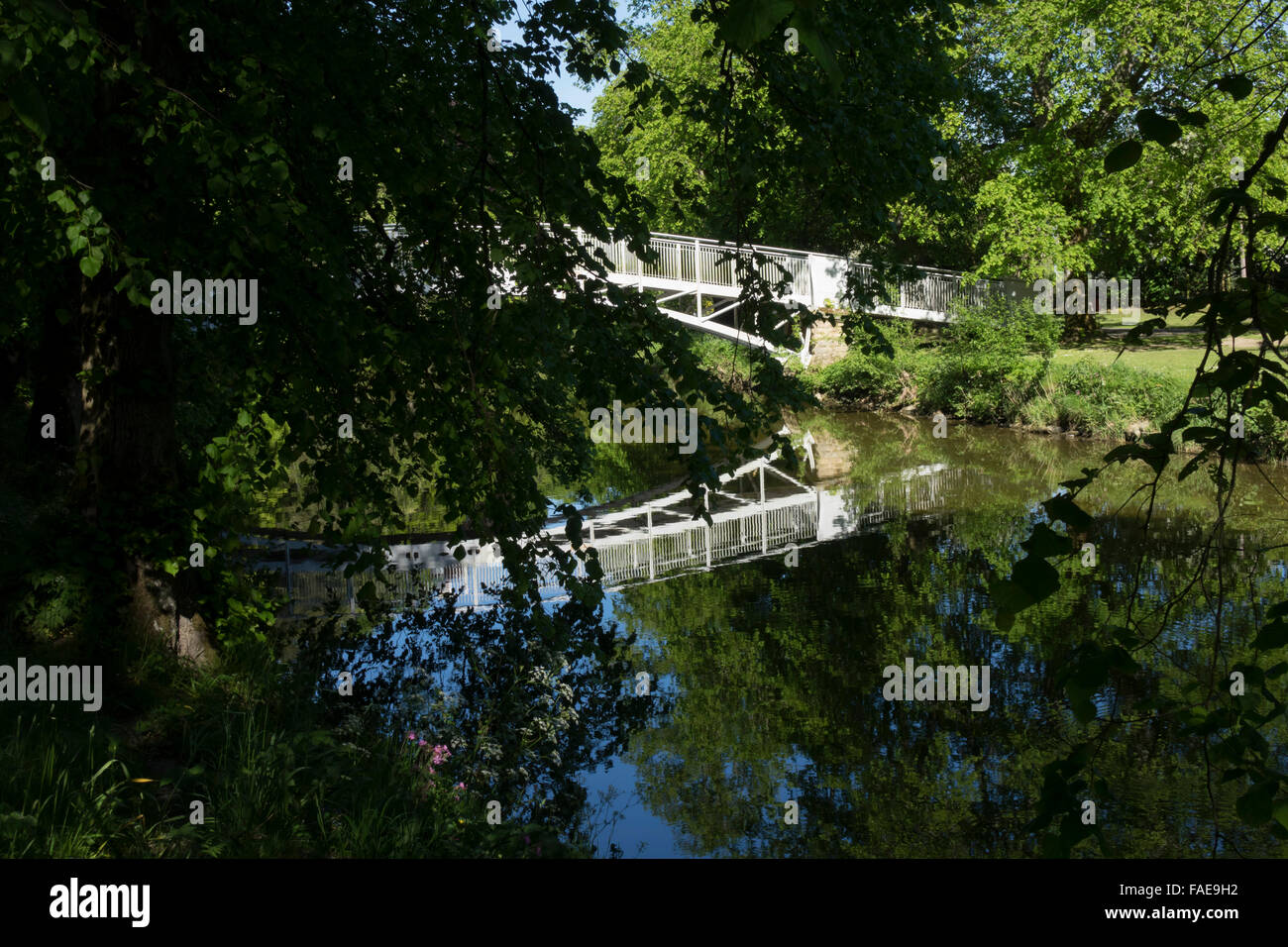 Hawick, Scottish Borders - Wilton Park, bridge over River Teviot. Stock Photo