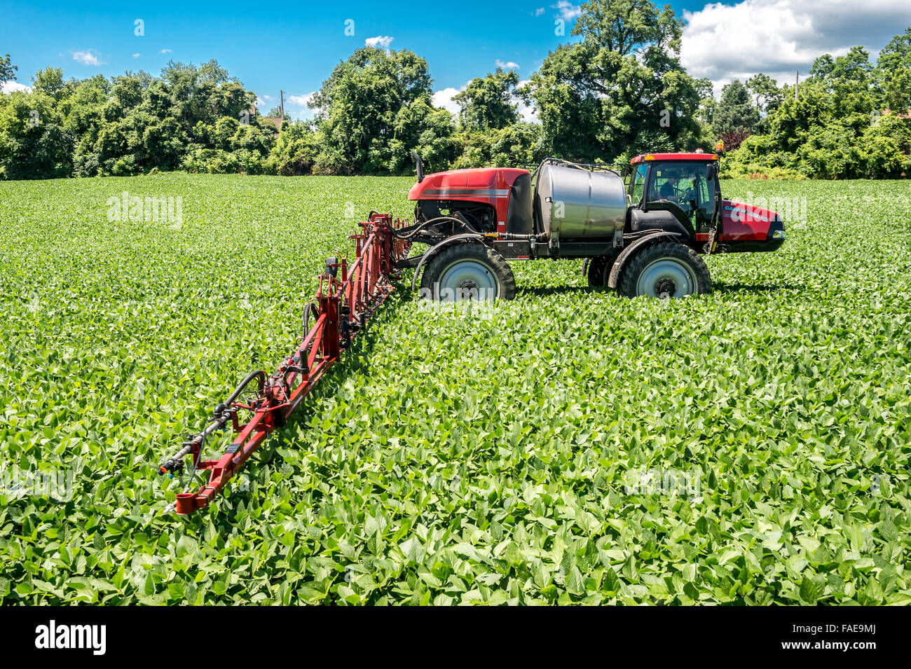 Tractor getting ready to spray a crop of soybeans with pesticides Stock Photo Alamy