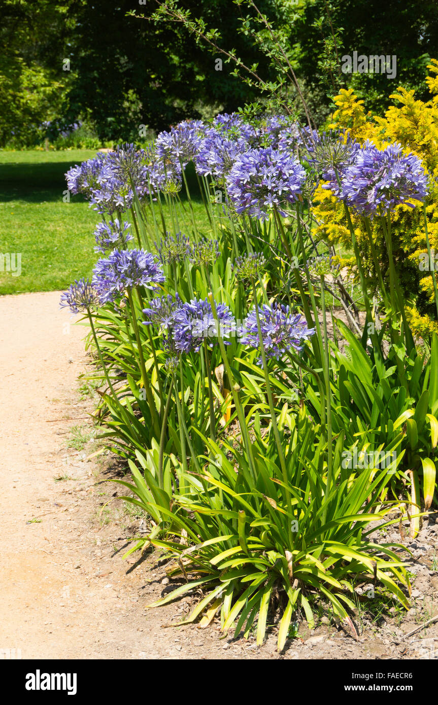 Skylands New Elstica Botanical Gardens Ringwood 2020 All