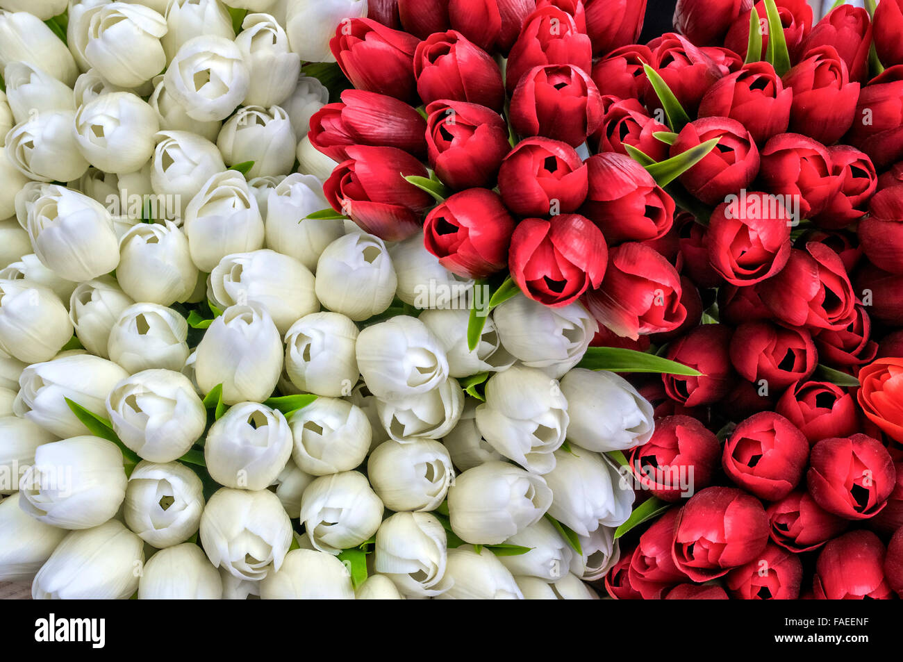 Ying yang wooden craft tulips Stock Photo