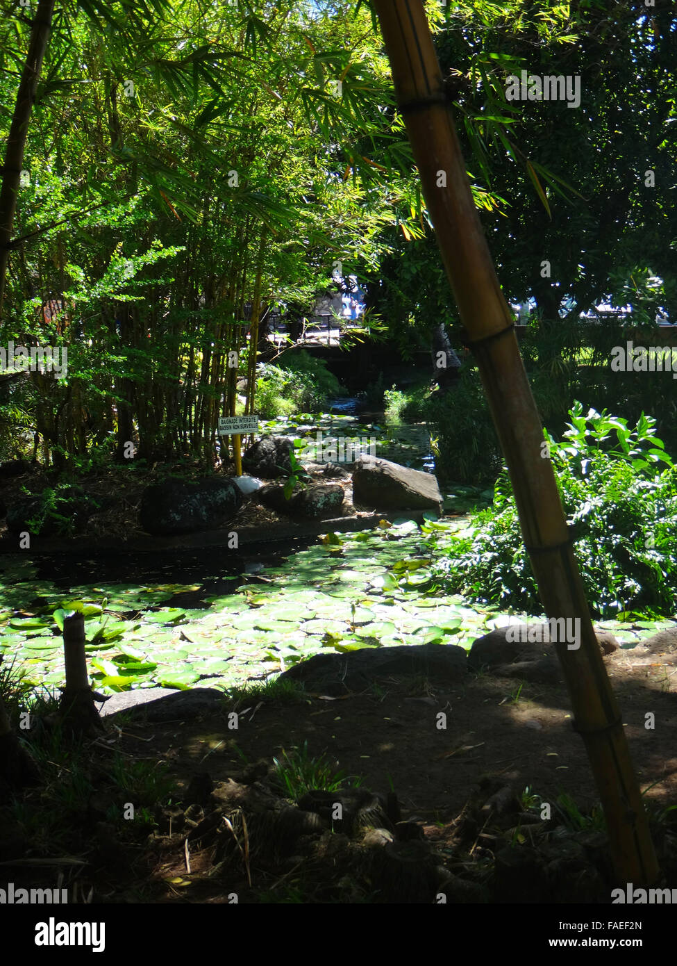 Parc Bougainville in the centre of Papeete, French Polynesia. Stock Photo