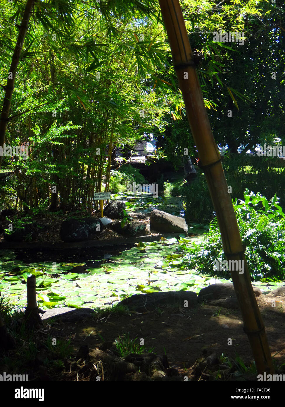 Parc Bougainville in the centre of Papeete, French Polynesia. Stock Photo