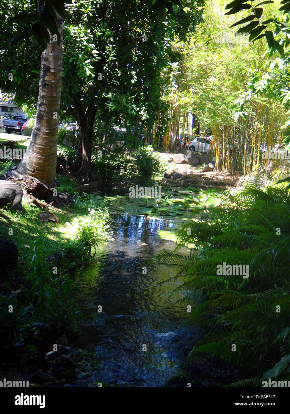 Parc Bougainville in the centre of Papeete, French Polynesia. Stock Photo