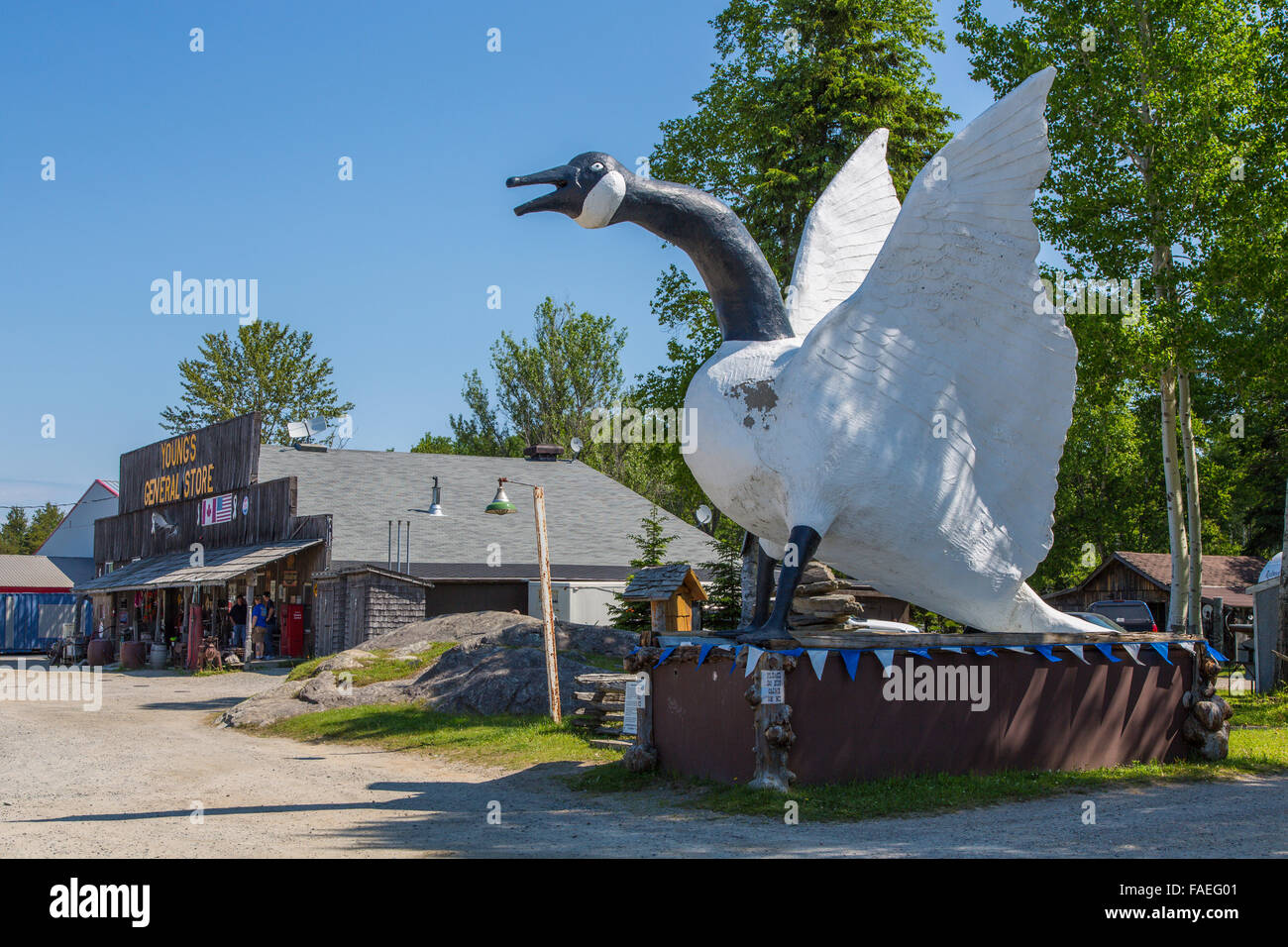 Giant Goose at Youngs Store in Wawa Ontario Canada Stock Photo