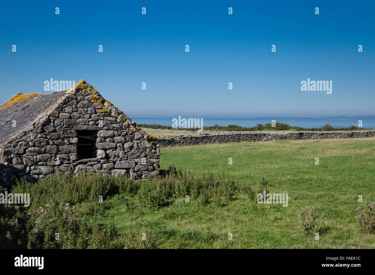 Small Cattle Barn Near To The Welsh Coast Stock Photo 92520664