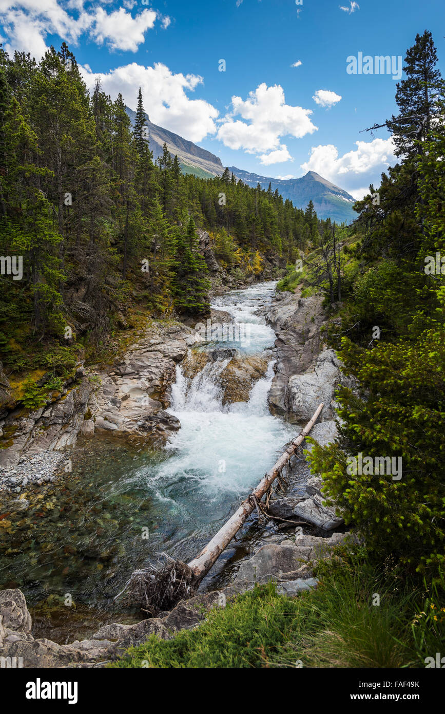 Scenic Mountain river and waterfalls, Waterton National Park Alberta Canada Stock Photo