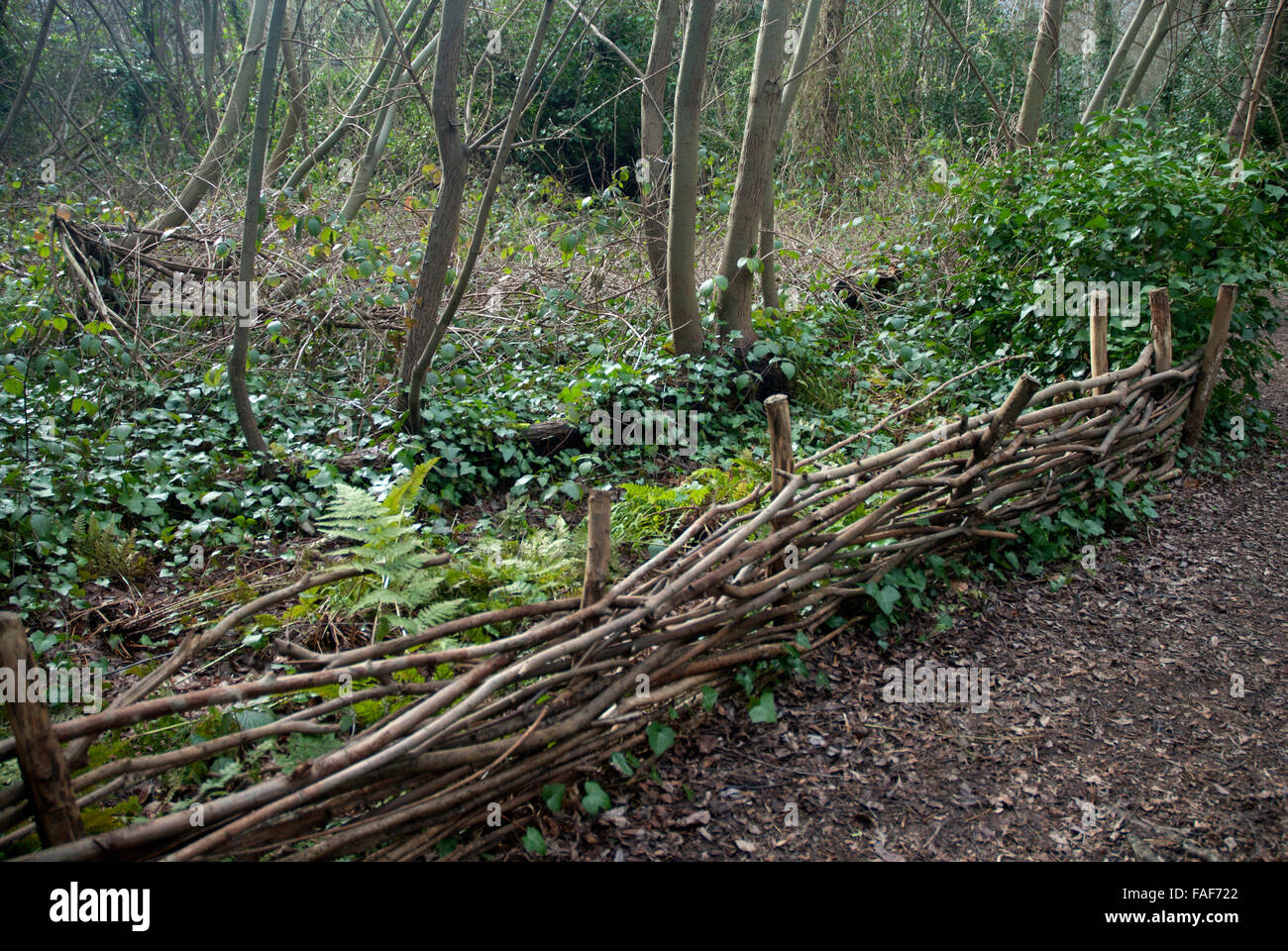 Fence made of twigs and branches Gunnersbury Triangle Nature Reserve, Chiswick West London, England UK Stock Photo