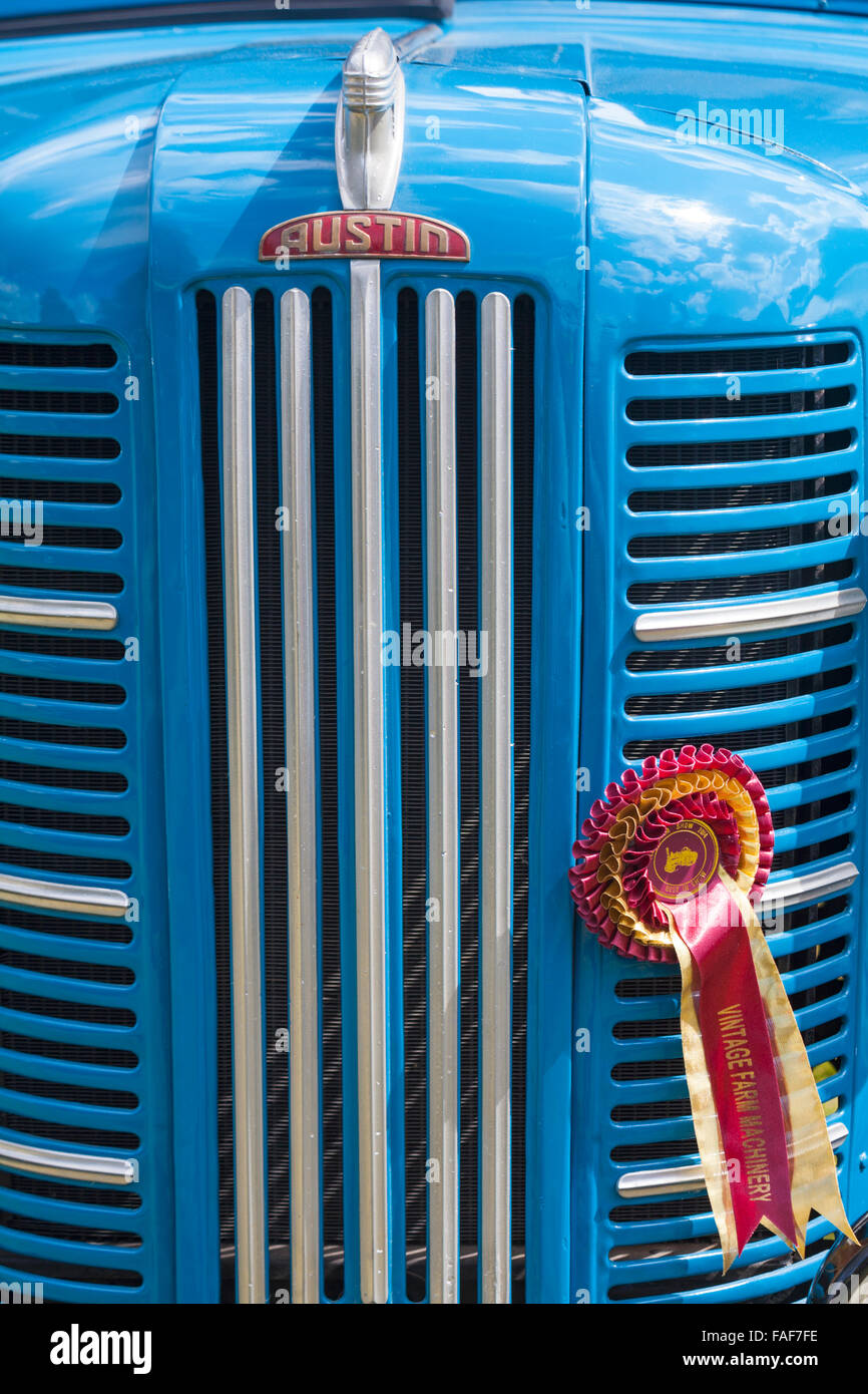 Best in Show vintage farm machinery rosette on the front of Austin vehicle at the Ellingham & Ringwood Agricultural Society show Stock Photo