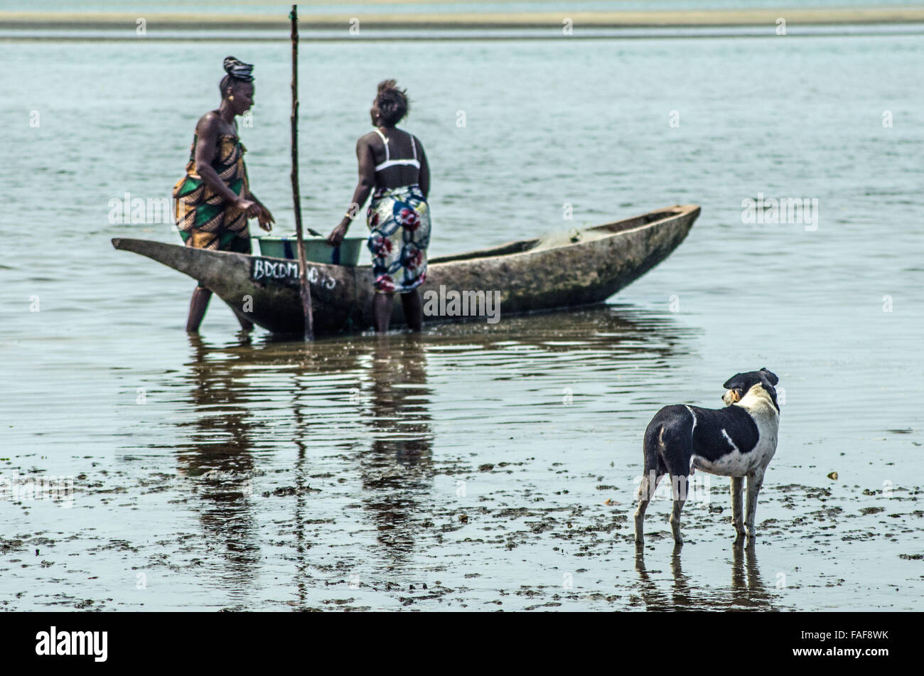 Women unload shellfish, Baki Island, the Turtle Islands, Sierra Leone. Stock Photo