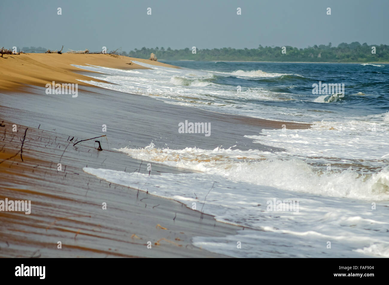 Windswept beach in Sierra Leone's Turtle Islands. Stock Photo