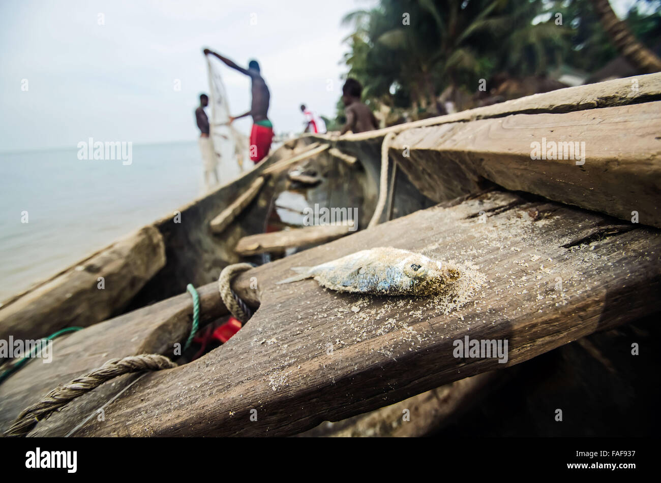 Fishermen offload their catch on Yele island, the Turtle Islands, Sierra Leone. Stock Photo