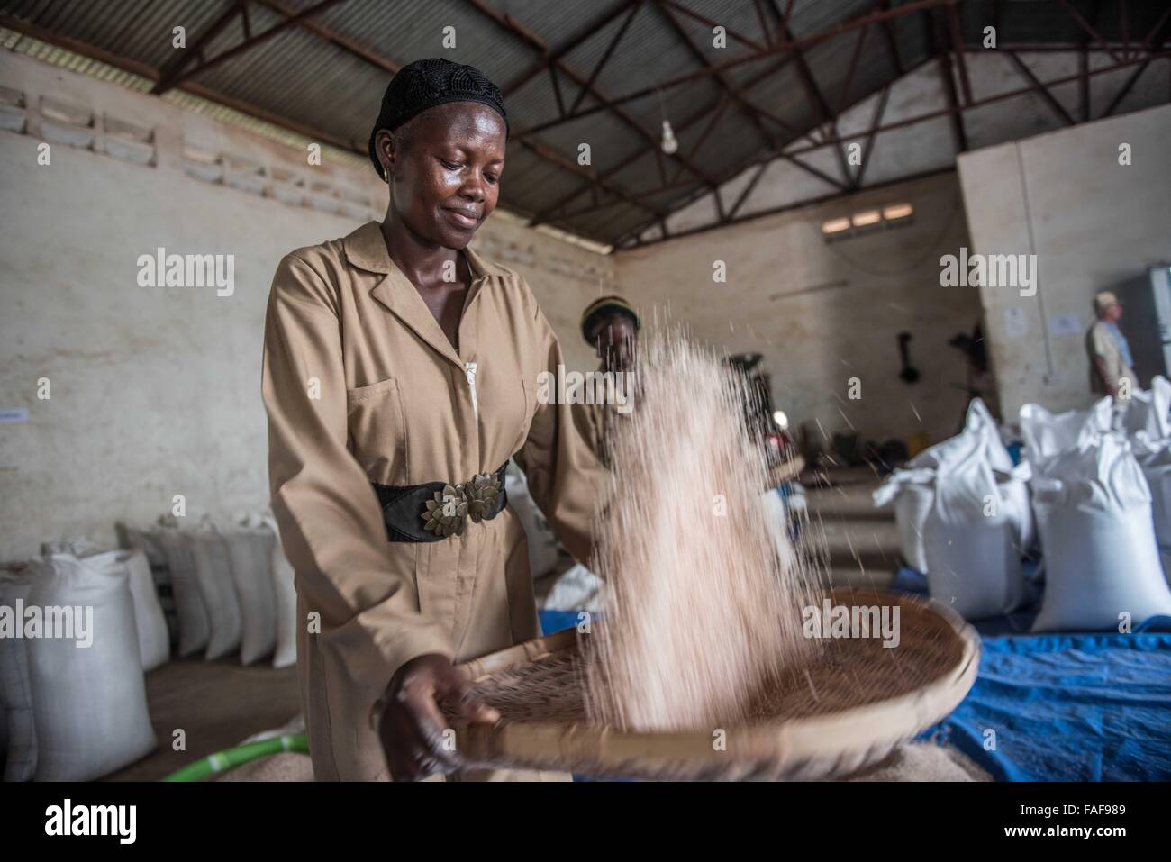 Rice mill in Sierra Leone Stock Photo Alamy