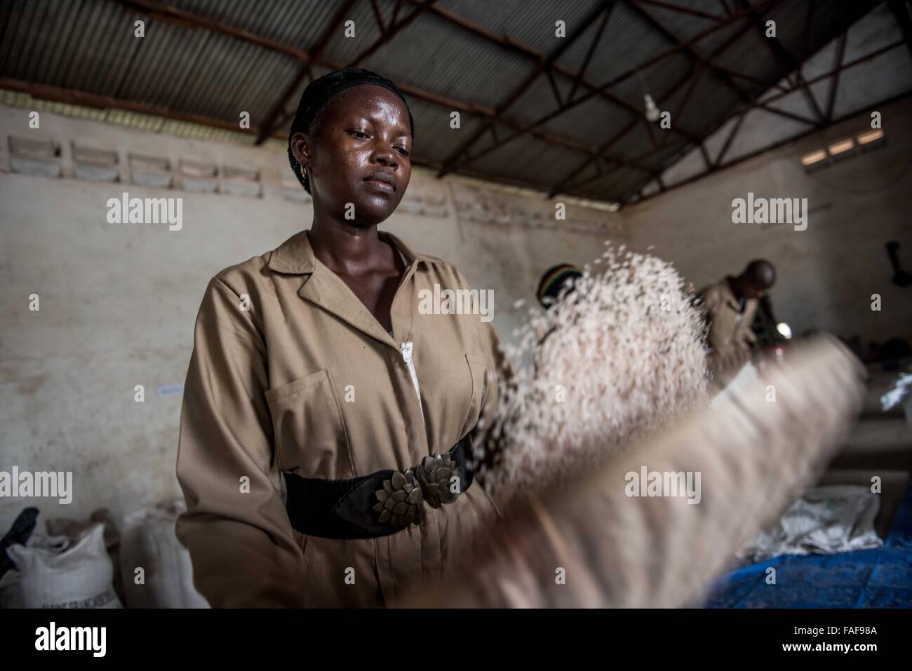 Sierra leone rice hires stock photography and images Alamy