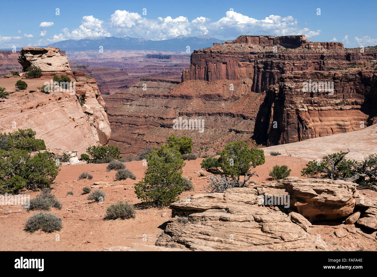 Shafer Canyon Overlook, eroded landscape, rock formations, Island in the Sky, Canyonlands National Park, Utah, USA Stock Photo