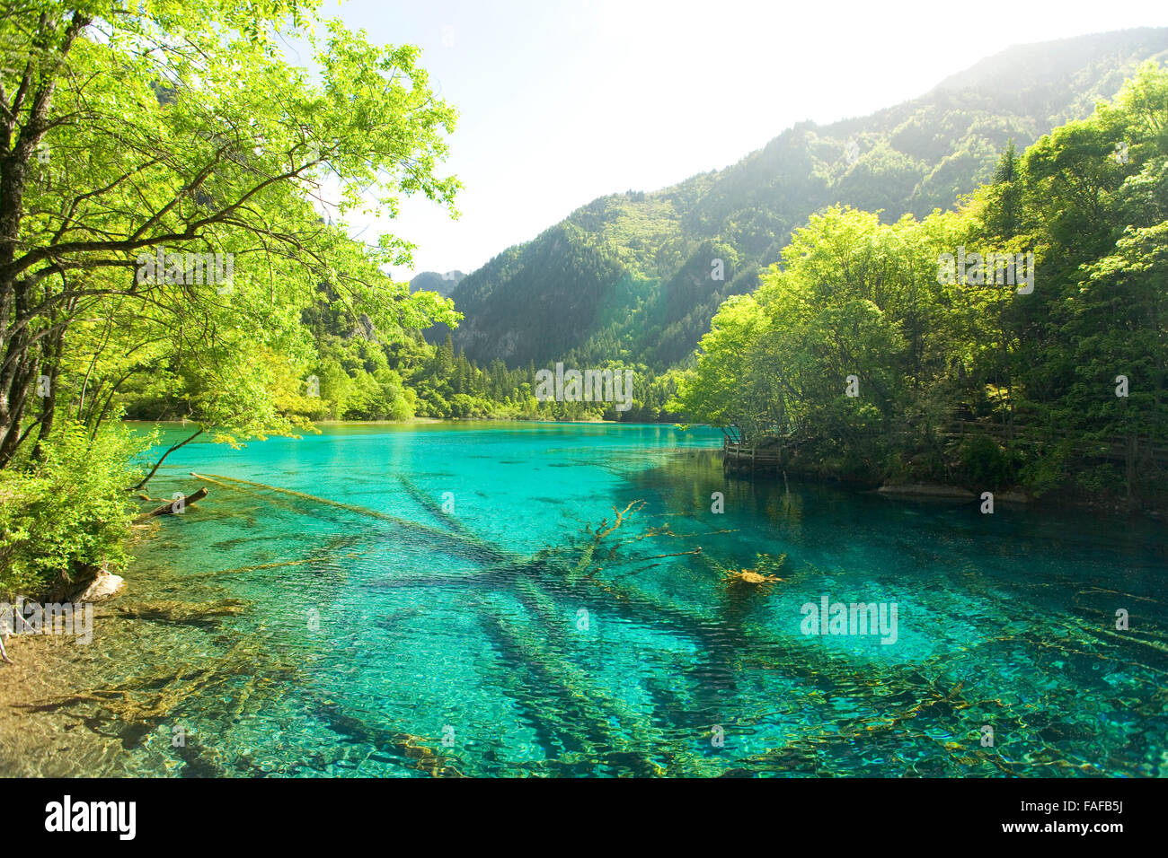 Lake in Jiuzhaigou, Sichuan, China Stock Photo