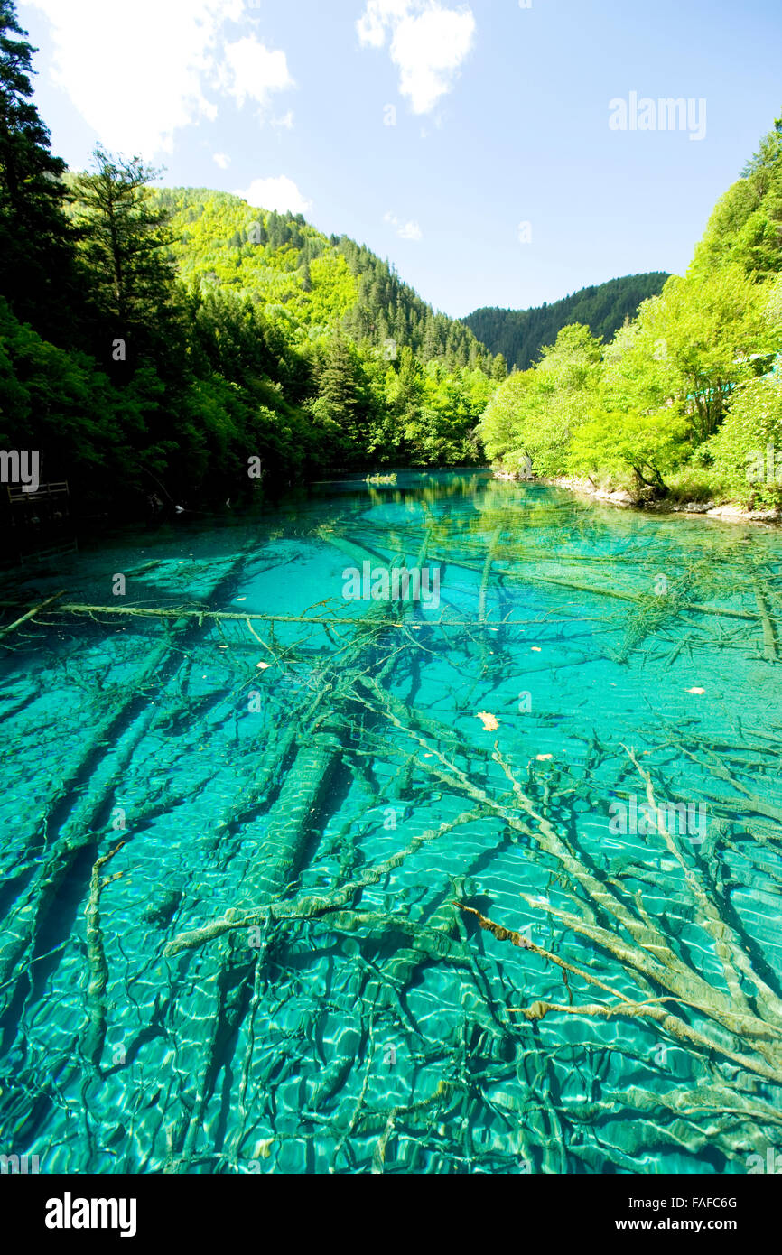 Lake in Jiuzhaigou, Sichuan, China Stock Photo