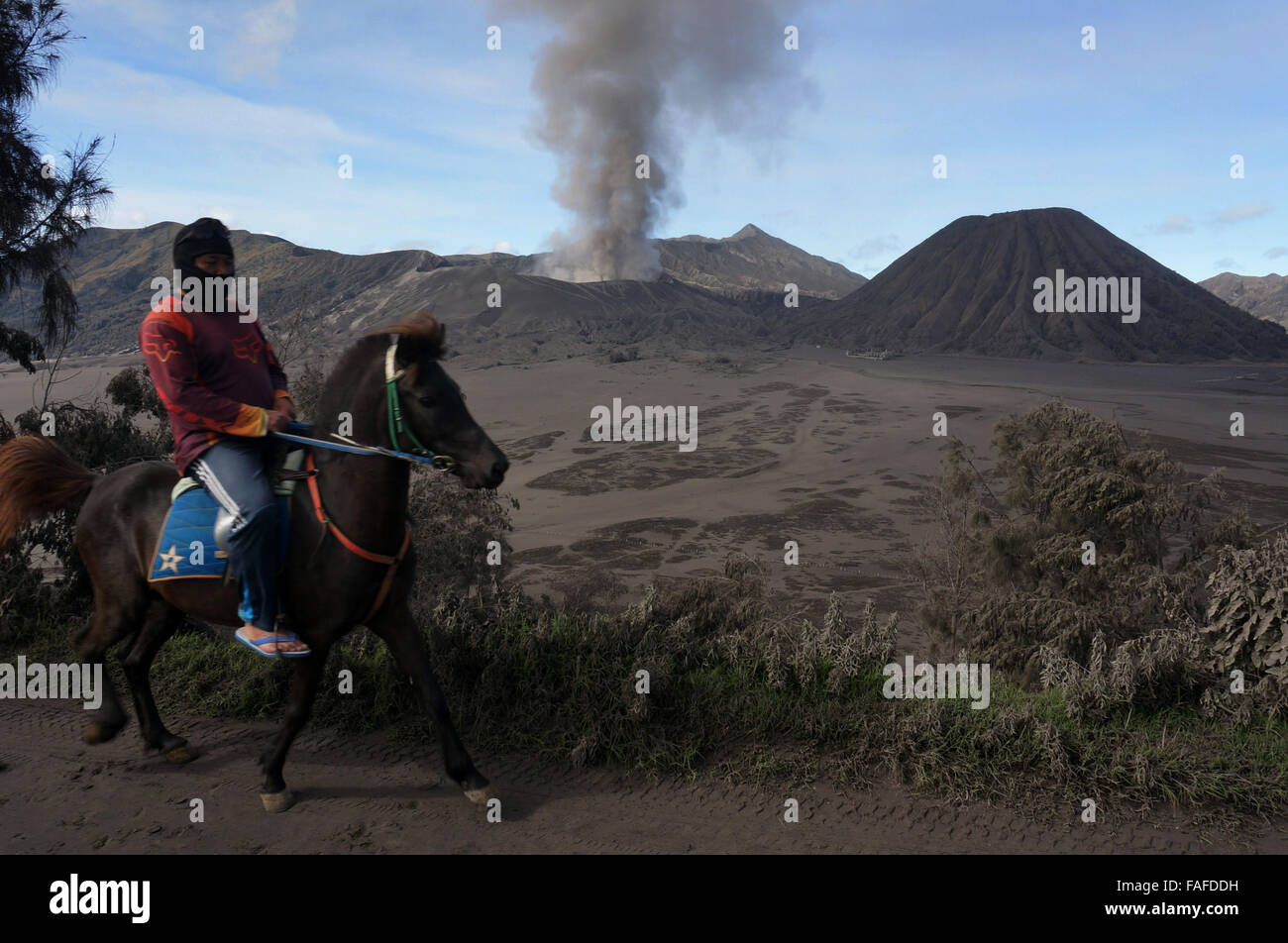 Pasuruan, Indonesia. 29th Dec, 2015. Residents Tenggerese running horse in the village of Cemoro Lawang, Sukapura, Probolinggo, East Java. The impact of the eruption resulted in 24 districts in the two counties and one city affected by the volcanic ash pouring material, as well as many damaged agricultural land and crop failure. Credit:  Adhitya Hendra/Pacific Press/Alamy Live News Stock Photo