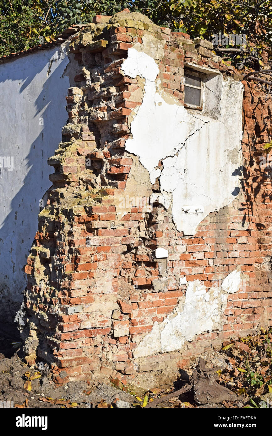 Smashed Wall Building Wall demolished by tree hi-res stock photography and images - Alamy