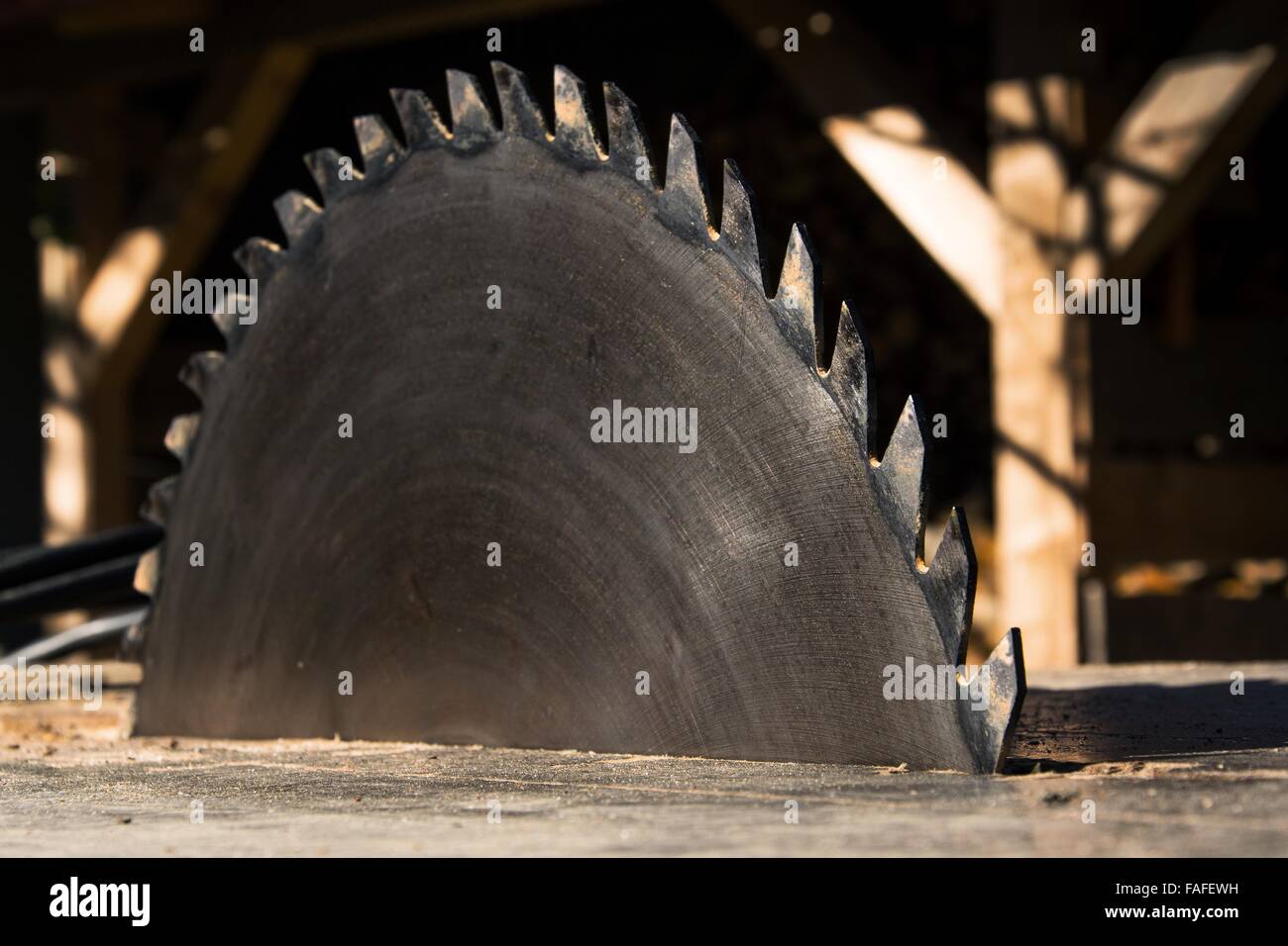 Switched off old rusty sharp circular saw blades closeup Stock Photo