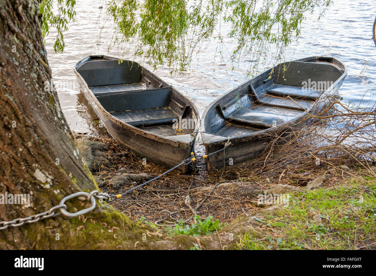 Rowing boat tied tree hi-res stock photography and images - Alamy