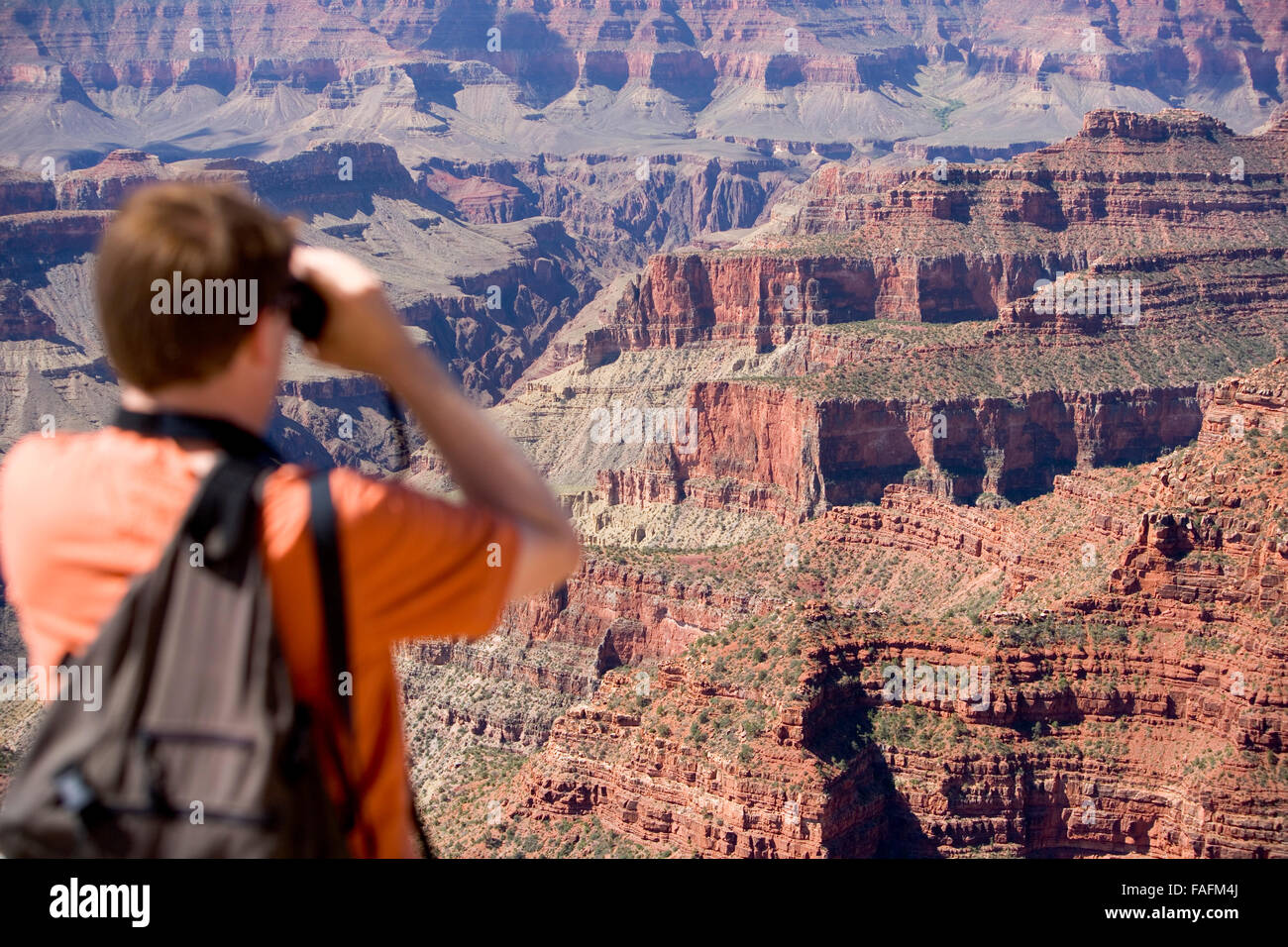 Man looking out to the Grand Canyon with binoculars Stock Photo