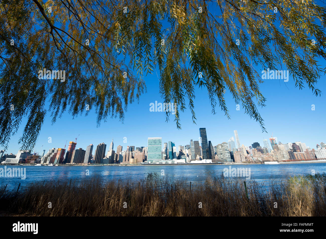Scenic skyline view of Midtown Manhattan framed by greenery from across ...